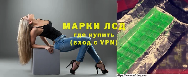 ГАЛЛЮЦИНОГЕННЫЕ ГРИБЫ Козловка