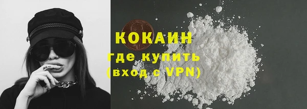 дмт Костерёво