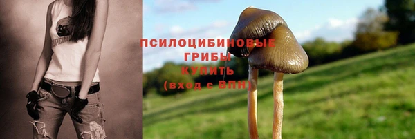 дмт Костерёво
