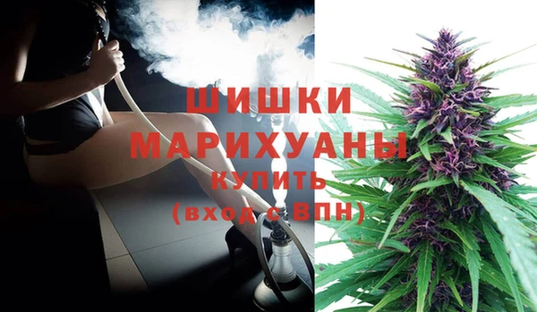 дурь Корсаков