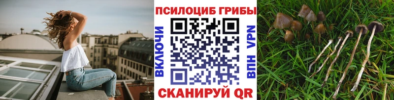 Галлюциногенные грибы MAGIC MUSHROOMS  Купить где  Волоколамск 